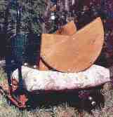 Carro de transporte