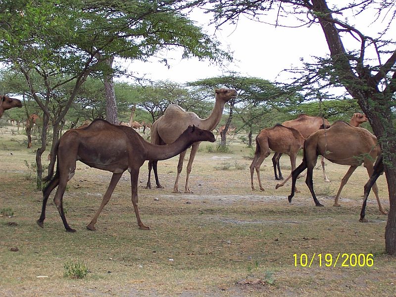 On safari in southern Ethiopia.