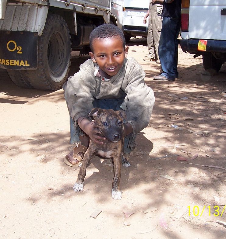 Man's best friend.