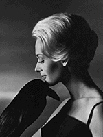 Une blonde glaciale r�veillant les d�sirs les plus inavouables... Hitchcock "orphelin" de Grace Kelly et Ingrid Bergman qui avaient quitt� Hollywood, cherchait une nouvelle blonde, naturellement "glaciale", pour son nouveau film.