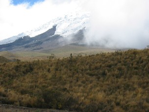 Through the clouds