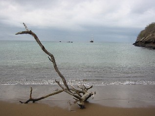 Beach Scape