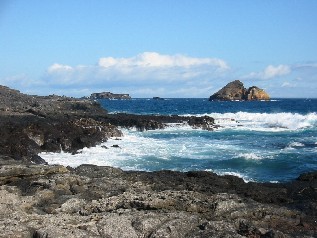 The Coast