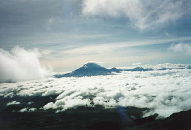 From web