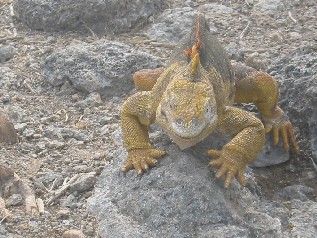 Coming to get YOU!