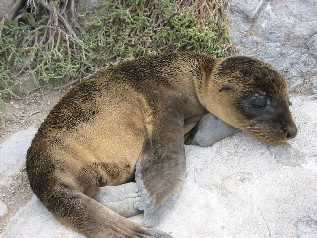 Past out!