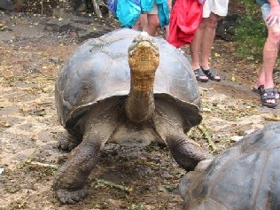 Heads up!