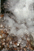 Icy Jewels