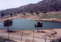 The San Diego Wild Animal Park