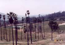 The San Diego Wild Animal Park