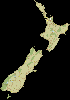 NZ
