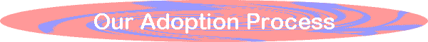 Our Adoption Process