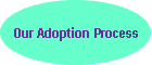Our Adoption Process