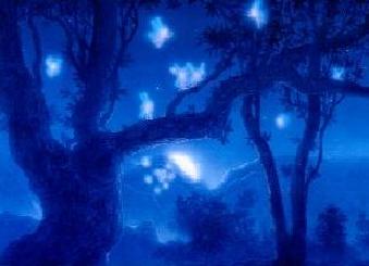Gilbert Williams