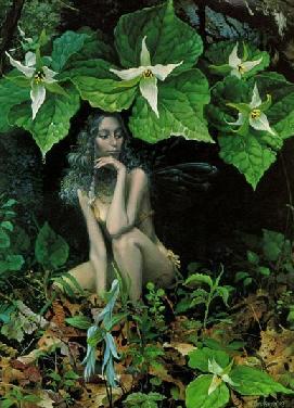 J.C Christensen