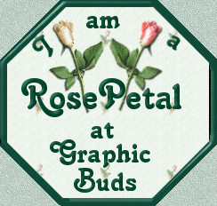 Graphic Buds Logo