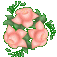 border