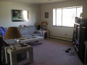 Living Room Before