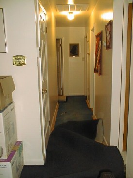 Hallway - Ripping up the carpet