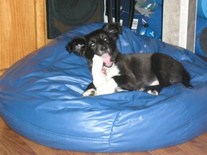 04/27/06 - Duster gets whatever she wants