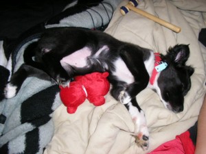 04/27/06 - Sleeping Beauty
