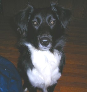 Duster 12/2006