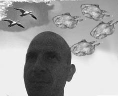 Akiles, montage