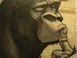 le singe doute