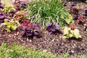 02_Brookside-7