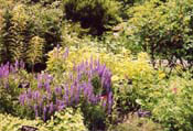 03_Brookside-8