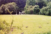 05_Brookside-6