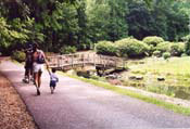 08_Brookside-2