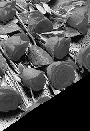 Links, Cliques, Other Stuff