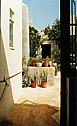Back door to Uncle Angelu's garden