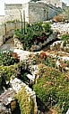 Meditteranean garden, St Joachim Alley
