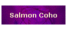 Salmon Coho