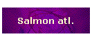 Salmon atl.