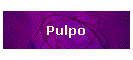 Pulpo