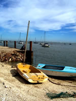 Boats at Leigh-On-Sea, England