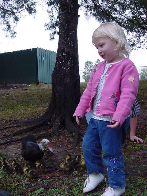 Sara and Baby Ducks in Gainesville, 02/04/01 (Cory behind her).