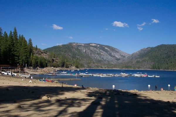 Sandy beach and pine trees!