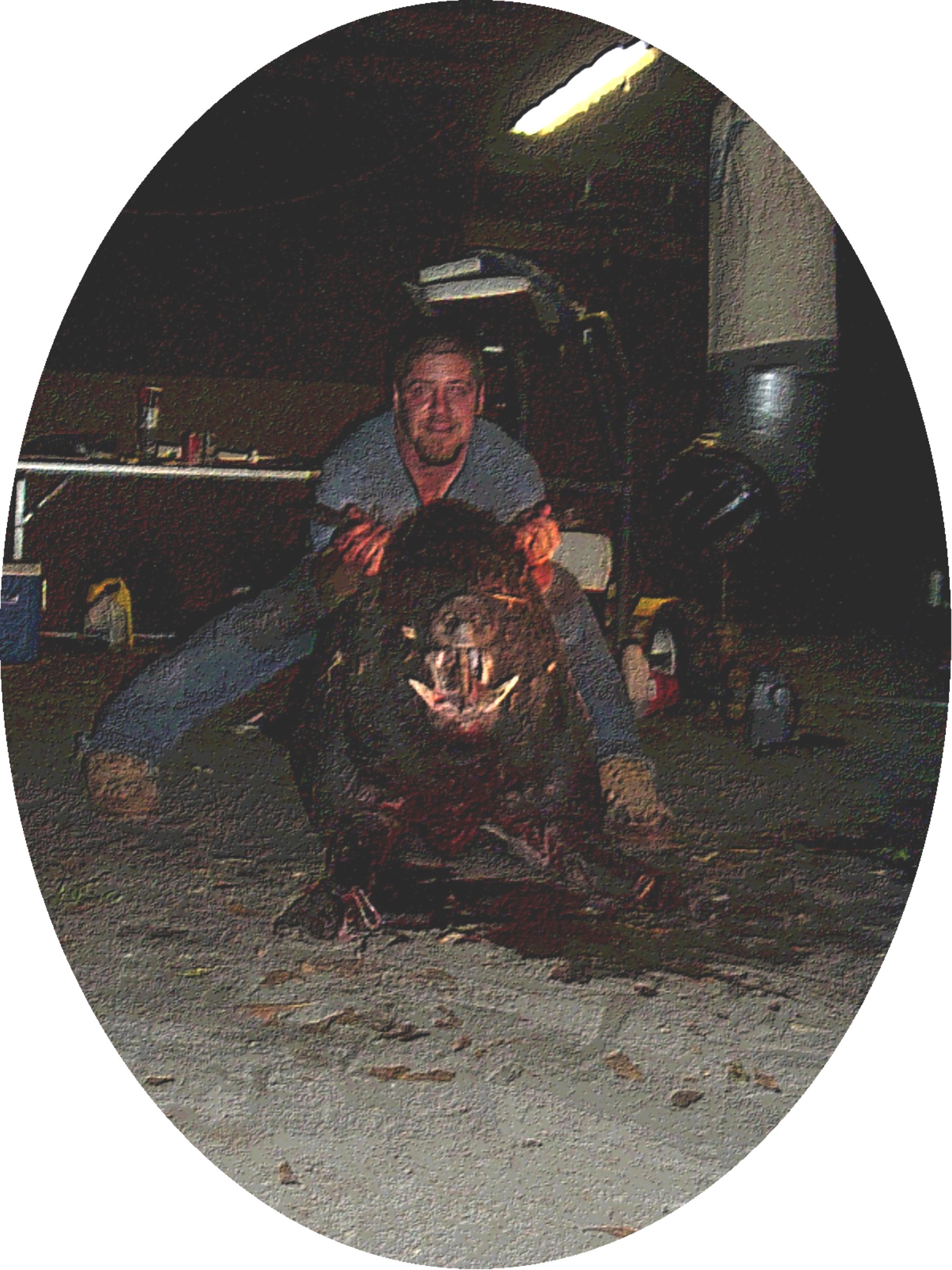 Marsh Hawg's Wild Hog Hunting
