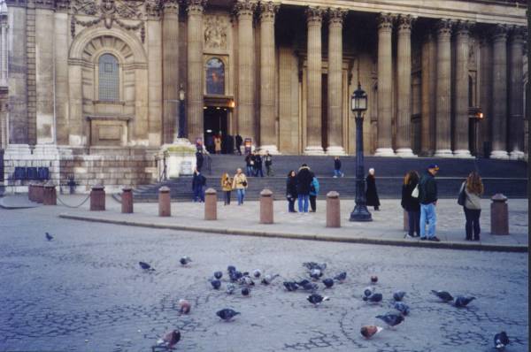 tuppencebirds.jpg