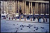 tuppencebirds.jpg
