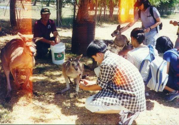 ballarat_bekindtoanimals3.jpg