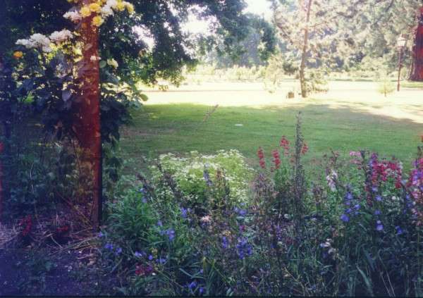 ballarat_flowers.jpg