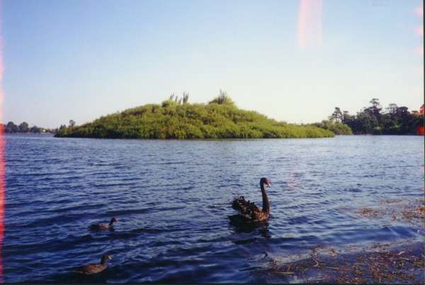 ballarat_lake.jpg