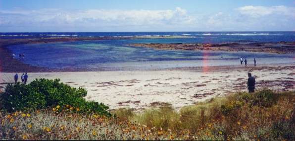 beach_panoramic.jpg