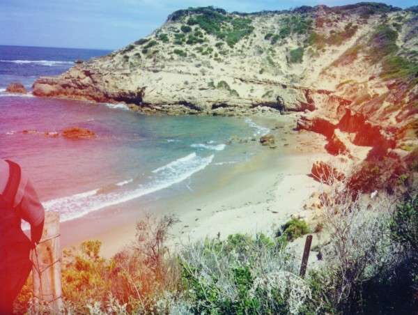 coast_tide.jpg