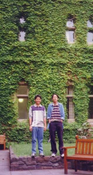 ivy_walls.jpg